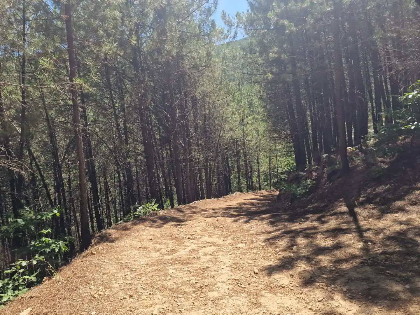 Terreno en venta en Guisando, Ávila