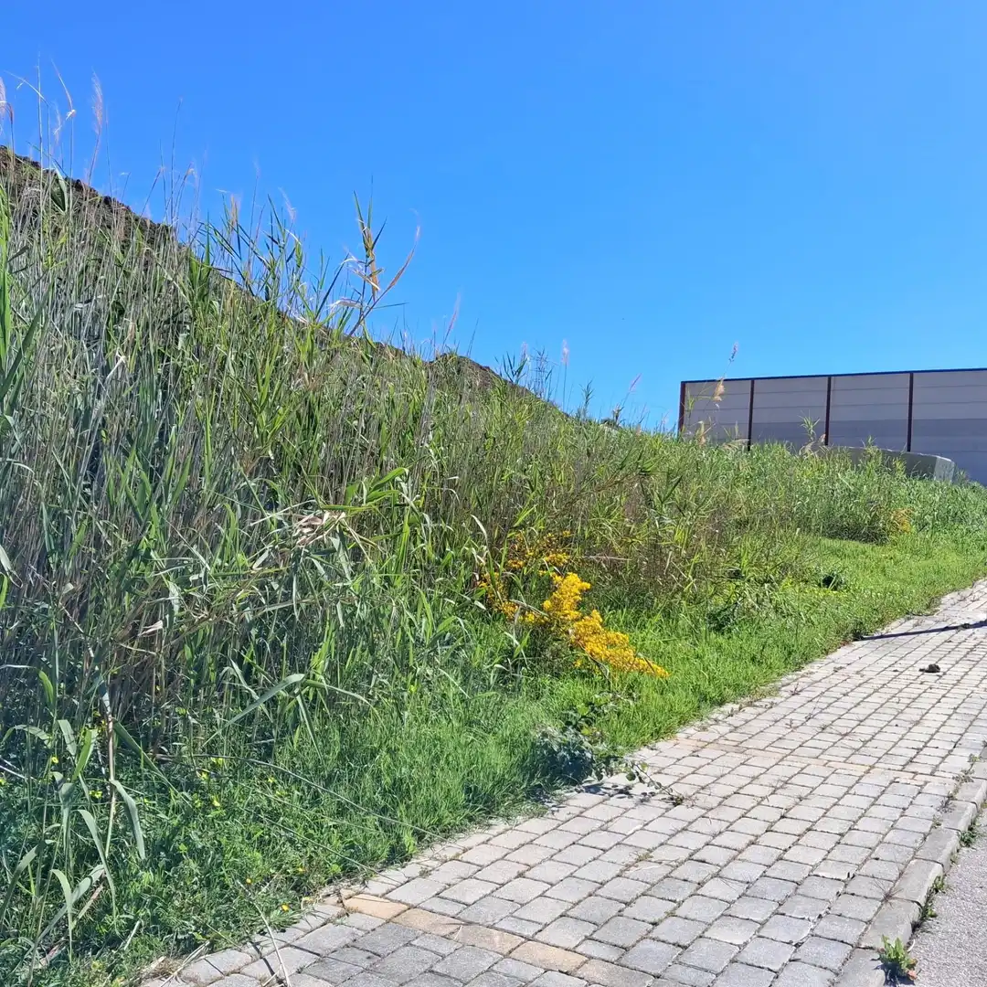 Fabrik Grundstücke zum Verkauf in Casares