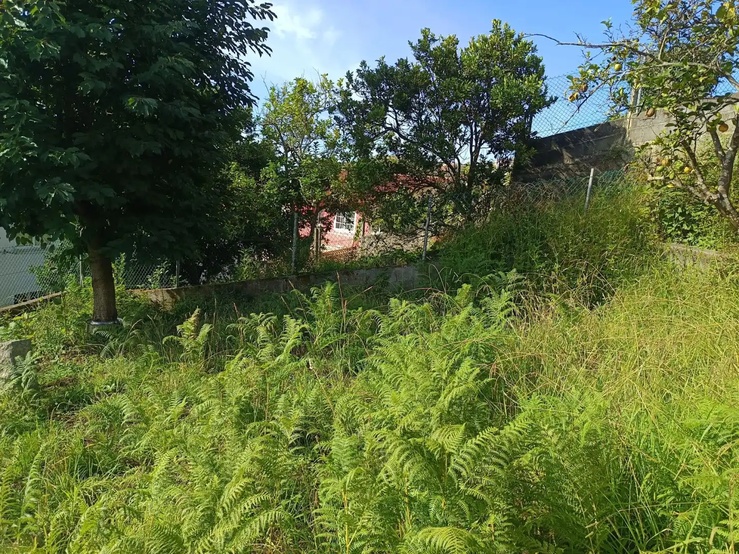 Maison à vendre à Raxó, imagen 15