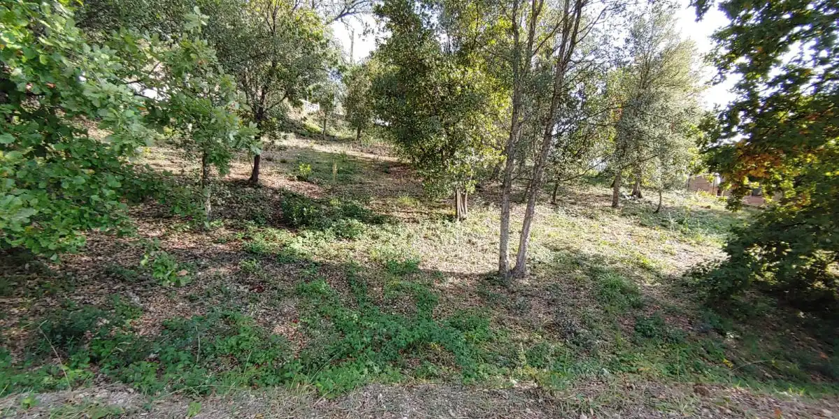 Grundstücke und Bauplätze zum Verkauf in Bescanó, imagen 10