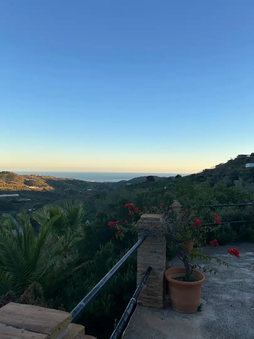 Vista exterior de Finca rústica en venda en Macharaviaya amb Terrassa, Traster i Piscina