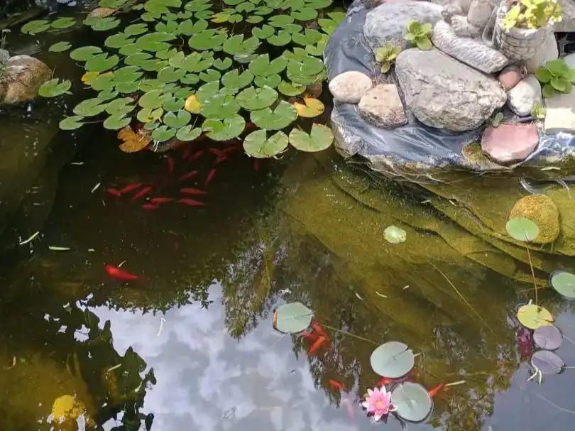 Jardín de Casa o chalet en venta en Sant Joan de Moró con Piscina