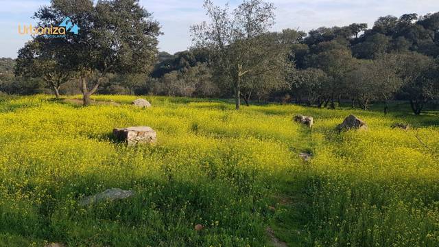 Terreno residencial en Venta en Calle hortelano en Dehesilla de Calamón - Campomanes