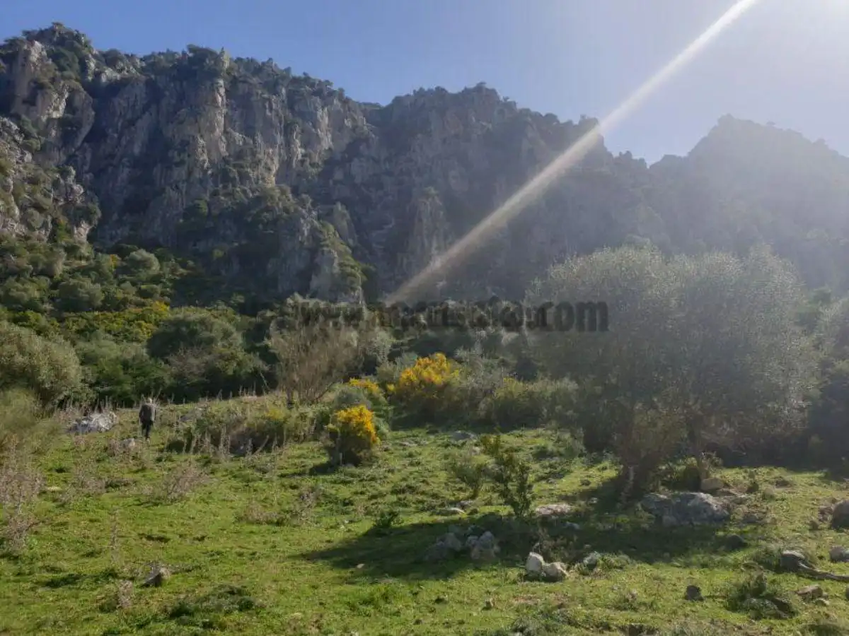 Residencial en venda a Casares, Málaga