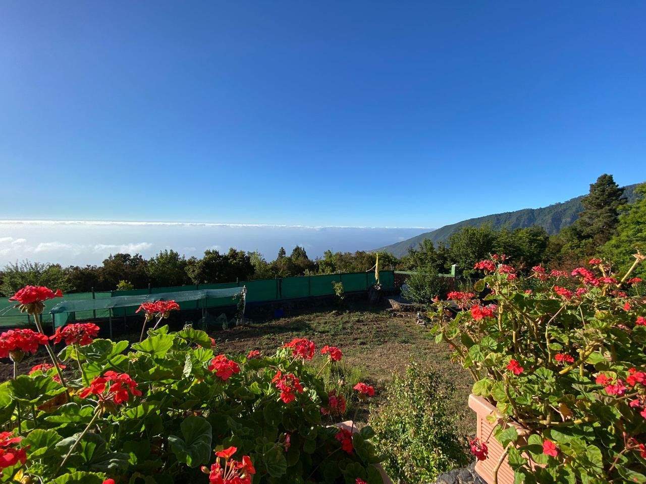 Garden of House or chalet for sale in La Orotava  with Heating, Private garden and Terrace