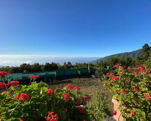 Jardí de Casa o xalet en venda en La Orotava amb Terrassa