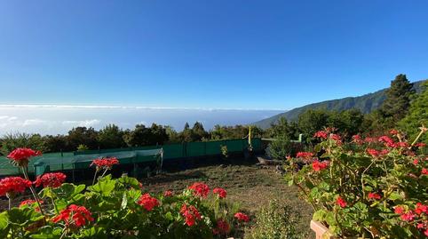 Foto 3 de Casa o xalet en venda a El Bebedero - Pinolere - Aguamansa, La Orotava