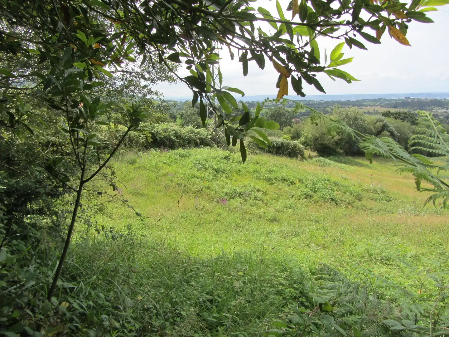 Terreny residencial en venda a Camin de los Payares, imagen 53