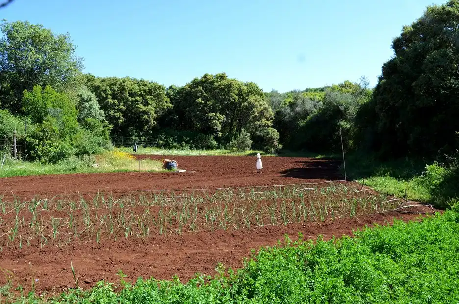 Terreni e lotti in vendita a Castaño del Robledo, imagen 34