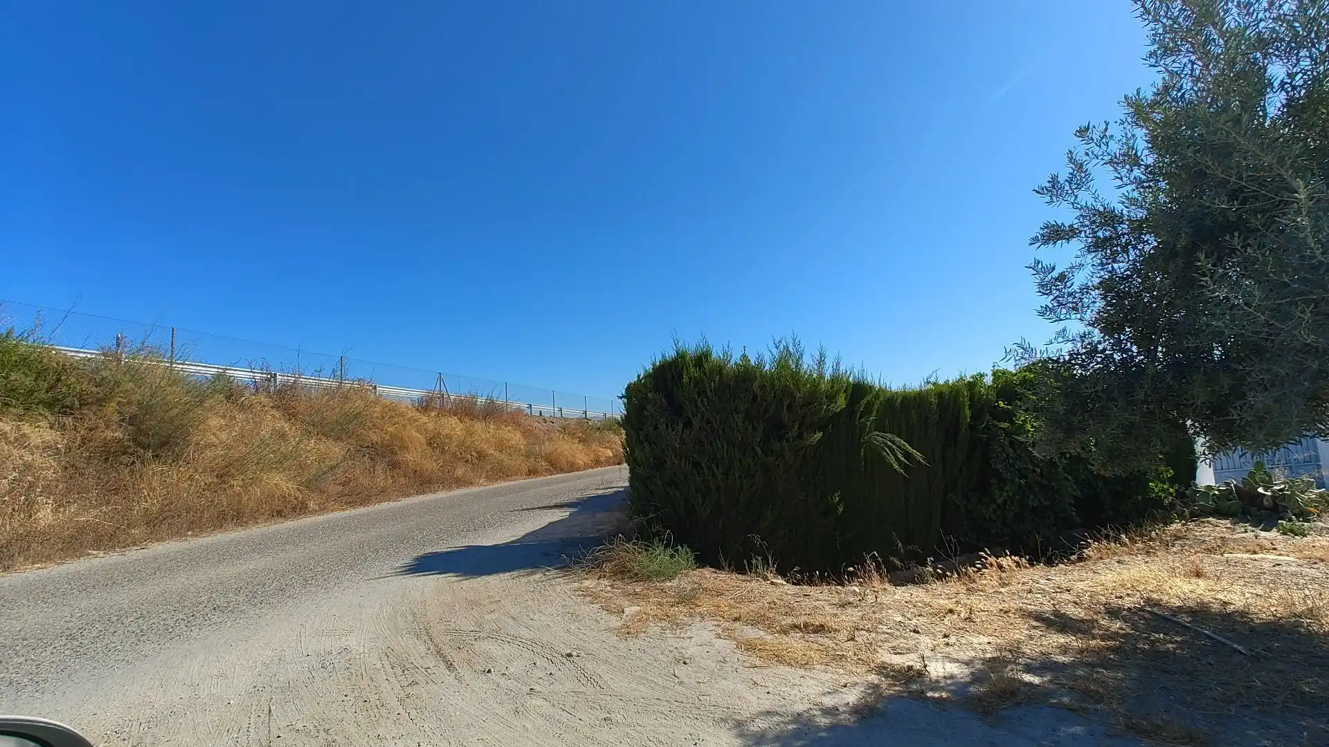 Terreno rustico in vendita a Aljancira, imagen 47