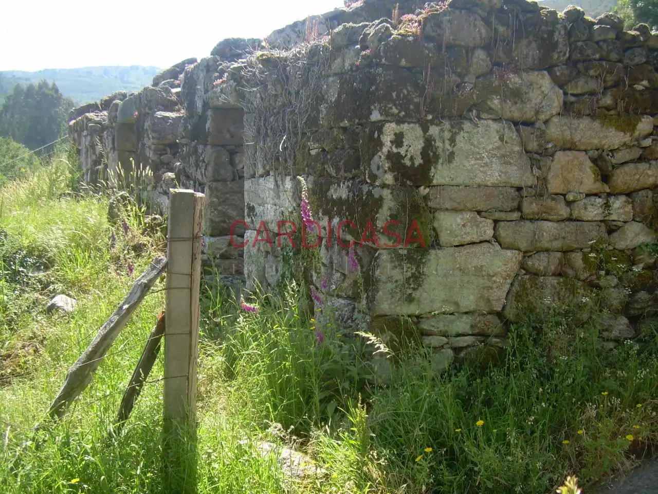 Finca rústica en venda a Luneda, Blancos., Arbo