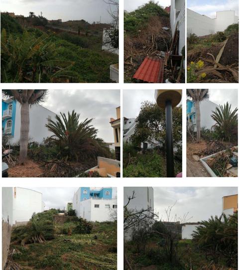 Photo 2 of Residential for sale in Calle Chapatal, 21, La Vera - El Farrobillo - Tosca de Ana María, Santa Úrsula