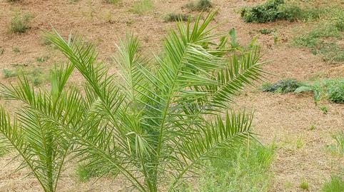 Foto 2 de Residencial en venda a Los Pinos - Politur, Girona