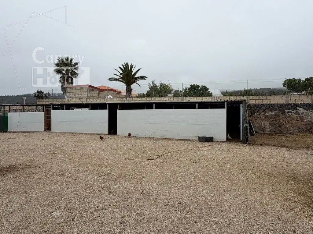 Vista exterior de Finca rústica en venda en Adeje amb Aire condicionat, Terrassa i Piscina