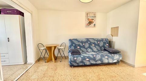 iexclALQUILER DISPONIBLE DE OCTUBRE A MAYO EN BENIDORM!Descubre este praacutectico estudio de 30 msup2 en Benidorm, una vivienda f, imatge 5