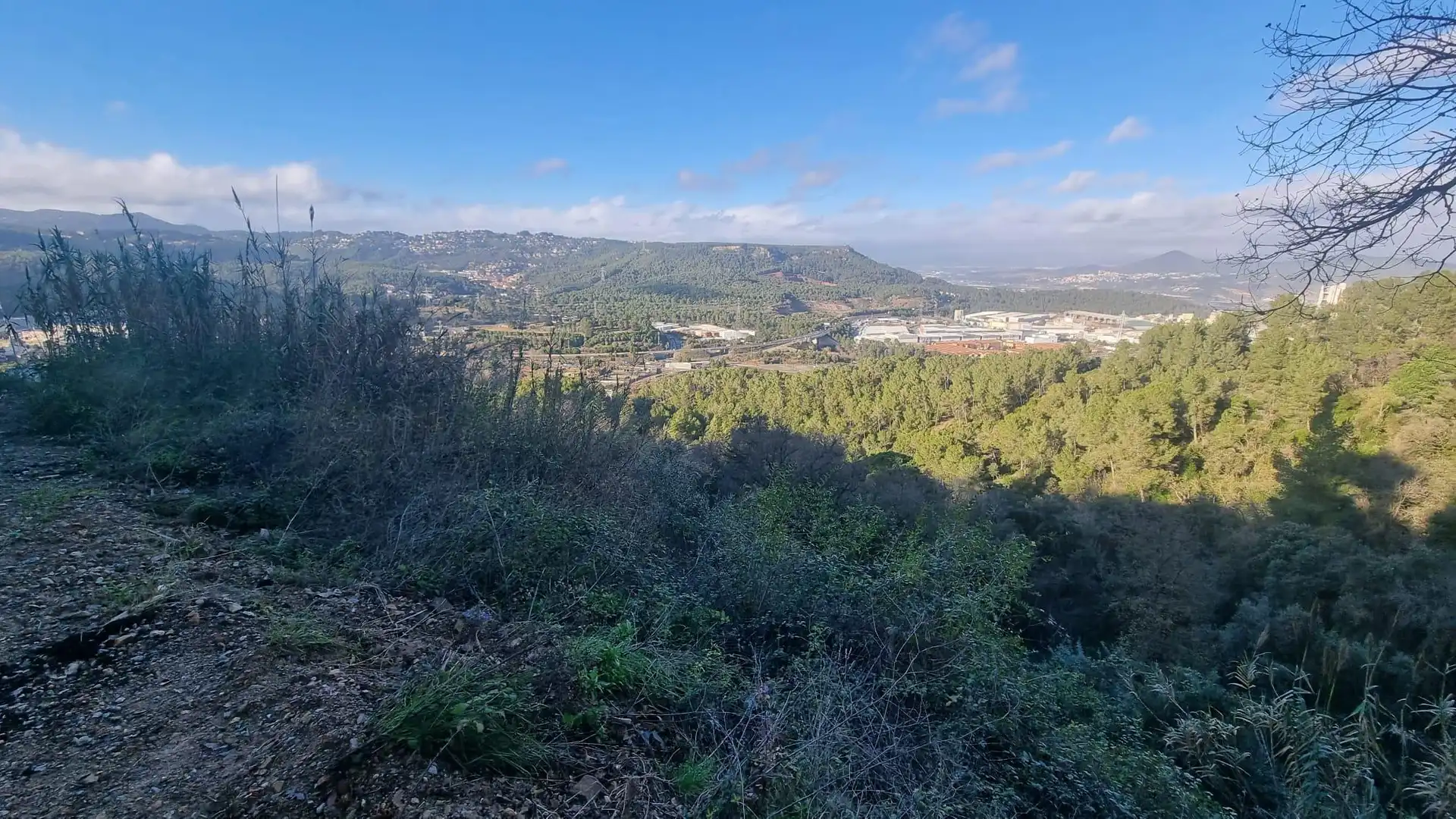 Terreny rústic en venda a Cervelló, imagen 4