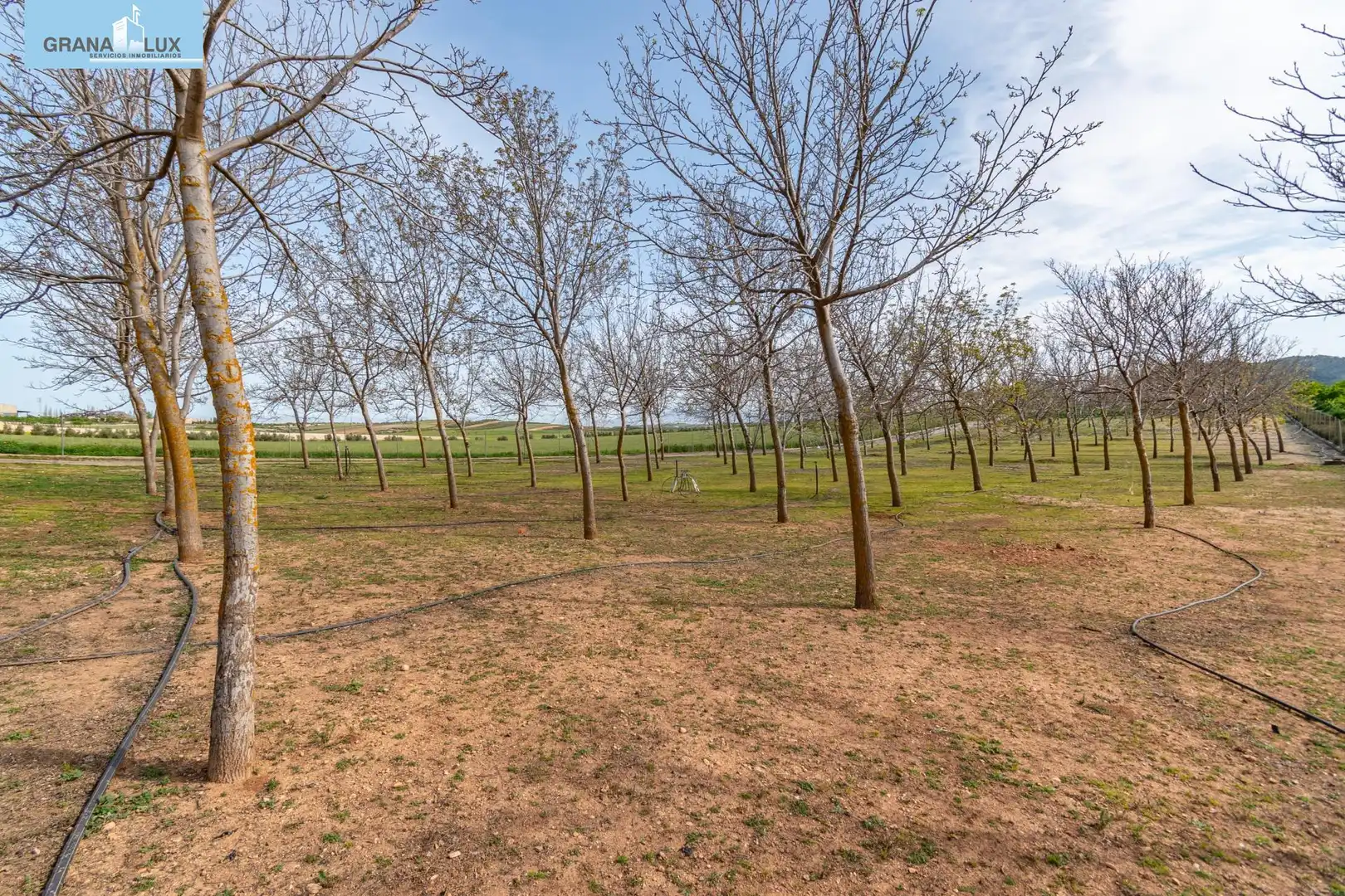 Rural land for sale in 18640, imagen 3