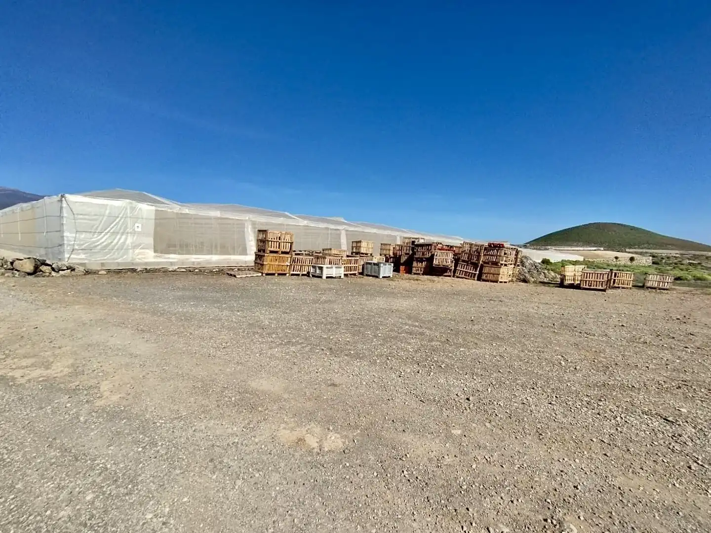 Vista exterior de Finca rústica en venta en Granadilla de Abona