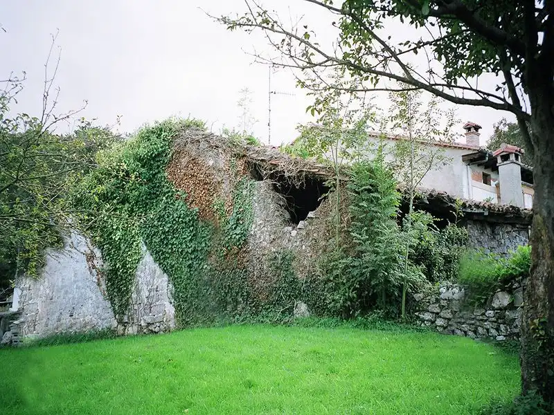 Garden of Country homes for sale in Llanes