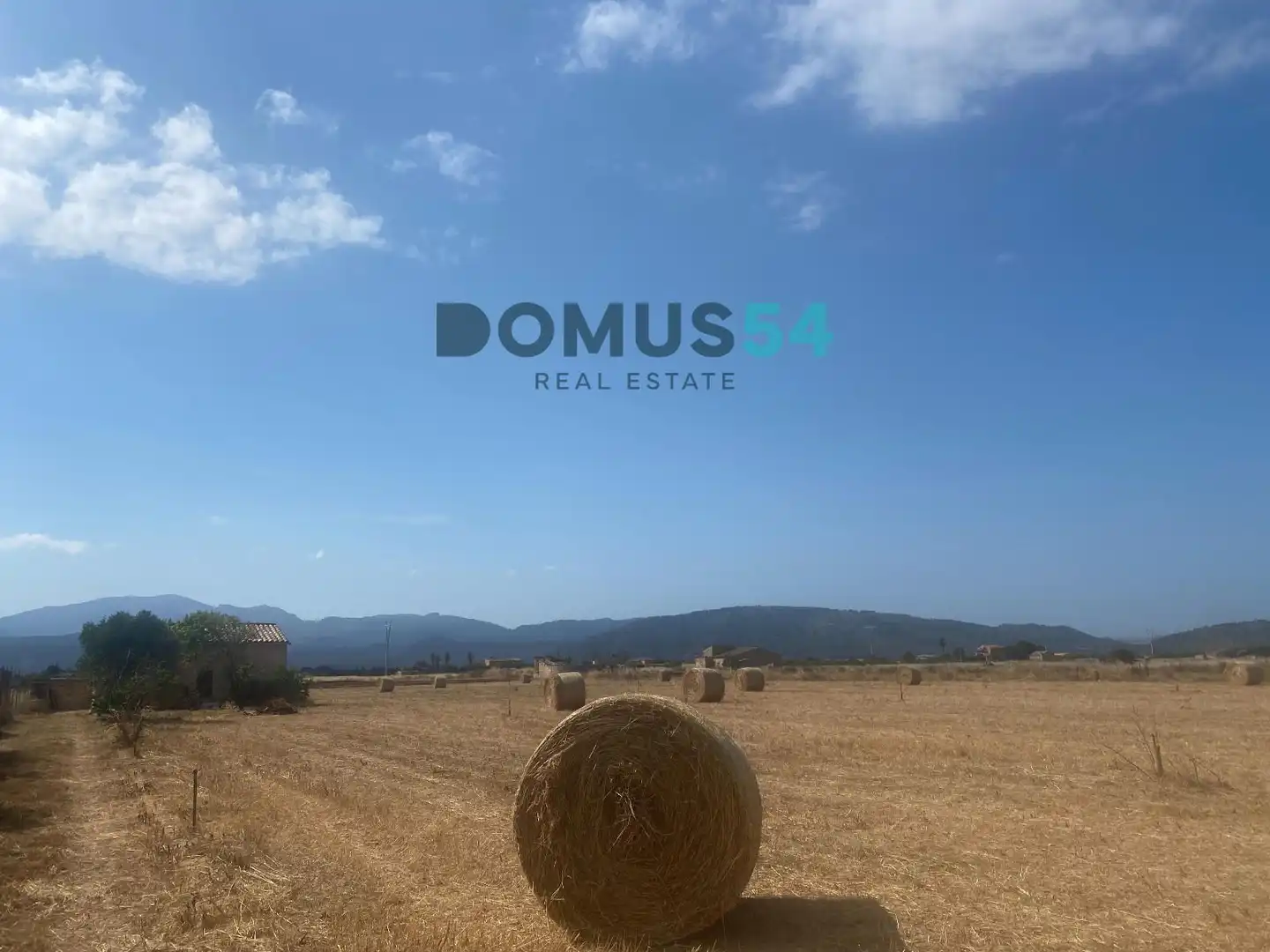 Rustikales Grundstück zum Verkauf in Sa Pobla, imagen 14