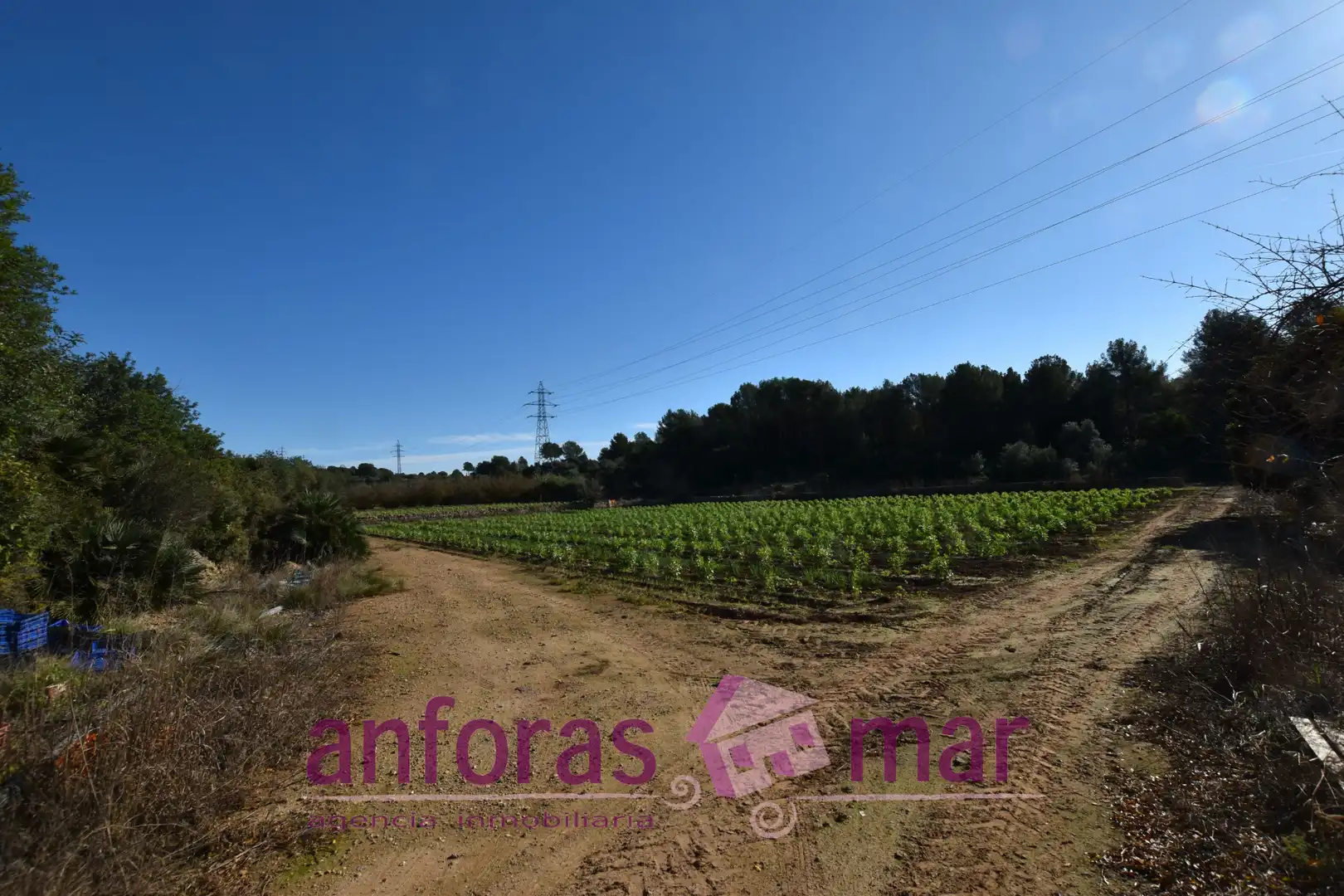 Rustikales Grundstück zum Verkauf in La Riera de Gaià, imagen 7