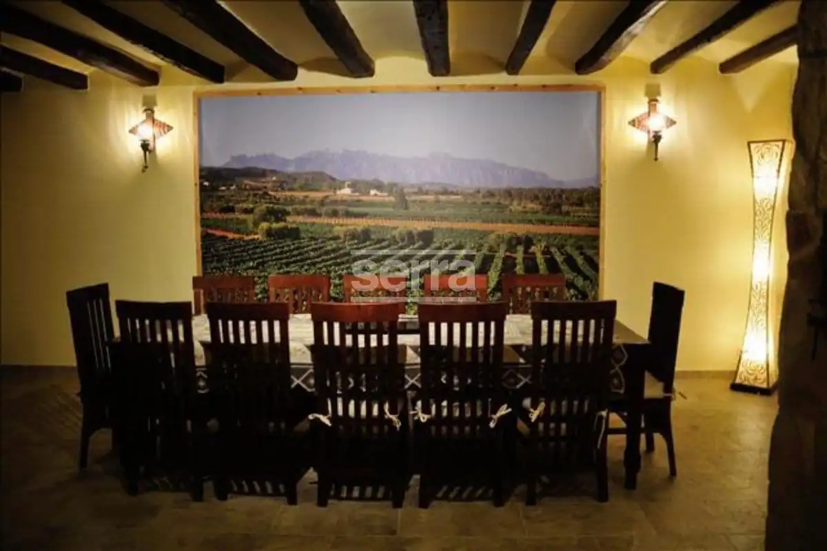 Finca rústica en venta en Vilobí del Penedès