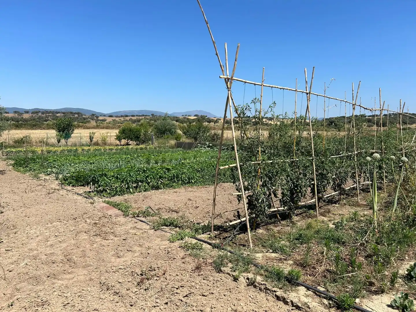 Casa o chalet en venta en Moraleja con Aire acondicionado, Calefacción y Jardín privado