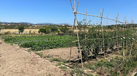 Foto 5 de Casa o xalet en venda a Moraleja, Cáceres