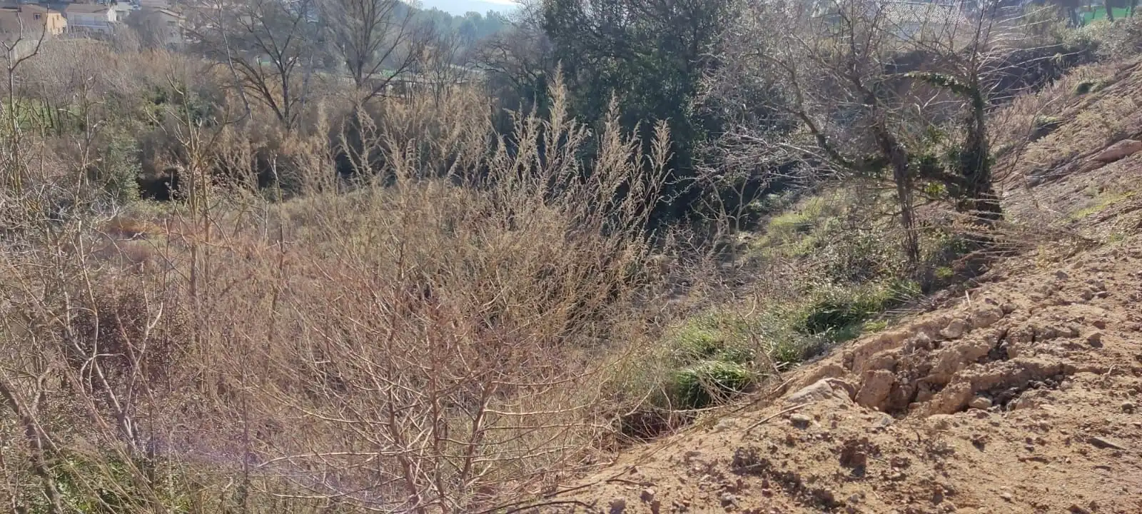 Terrain résidentiel à vendre à Sant Muç, imagen 16