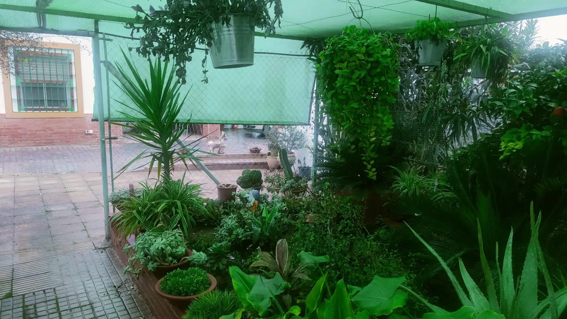Garden of Houses for sale in Córdoba  with Air Conditioner, Heating and Private garden