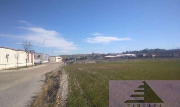 Terreny industrial en venda en Pinto