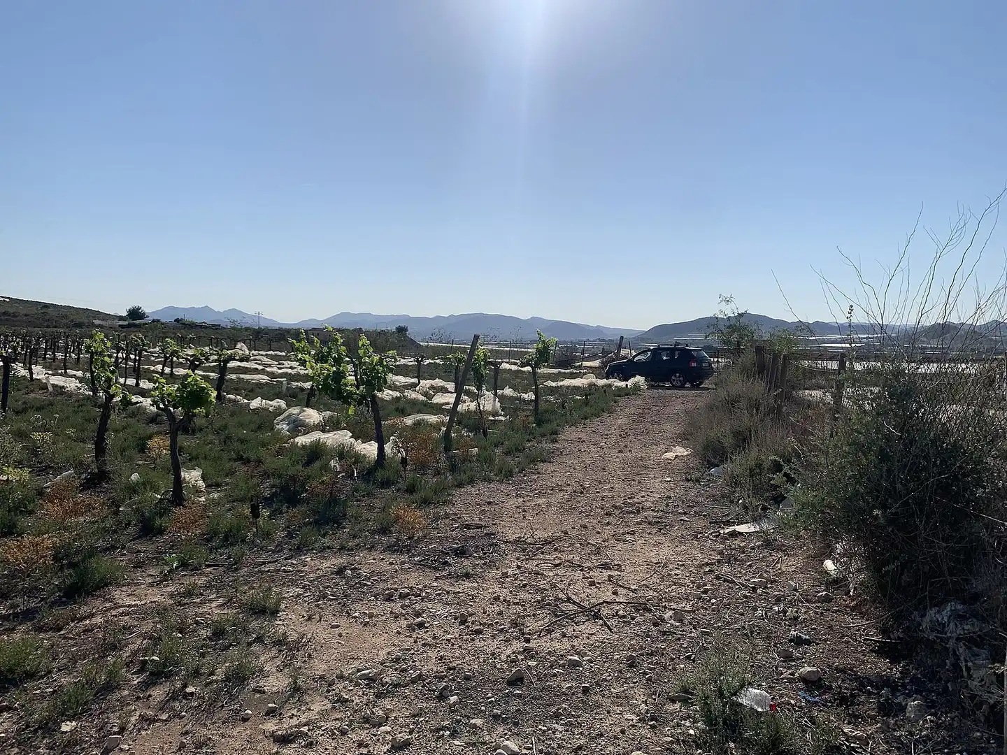Terreno residencial en venta en Monforte del Cid, imagen 14