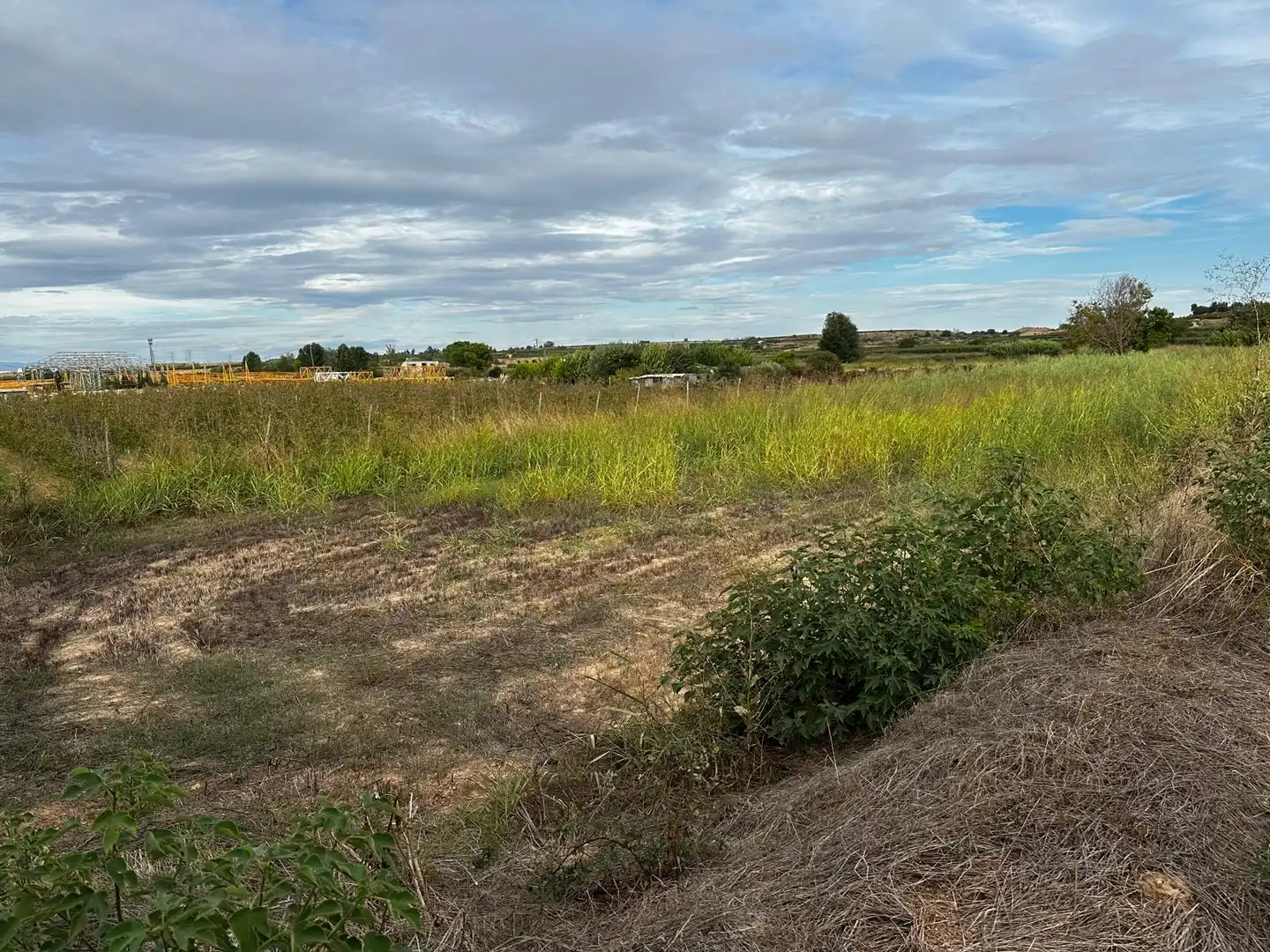 Land for sale in Albatàrrec