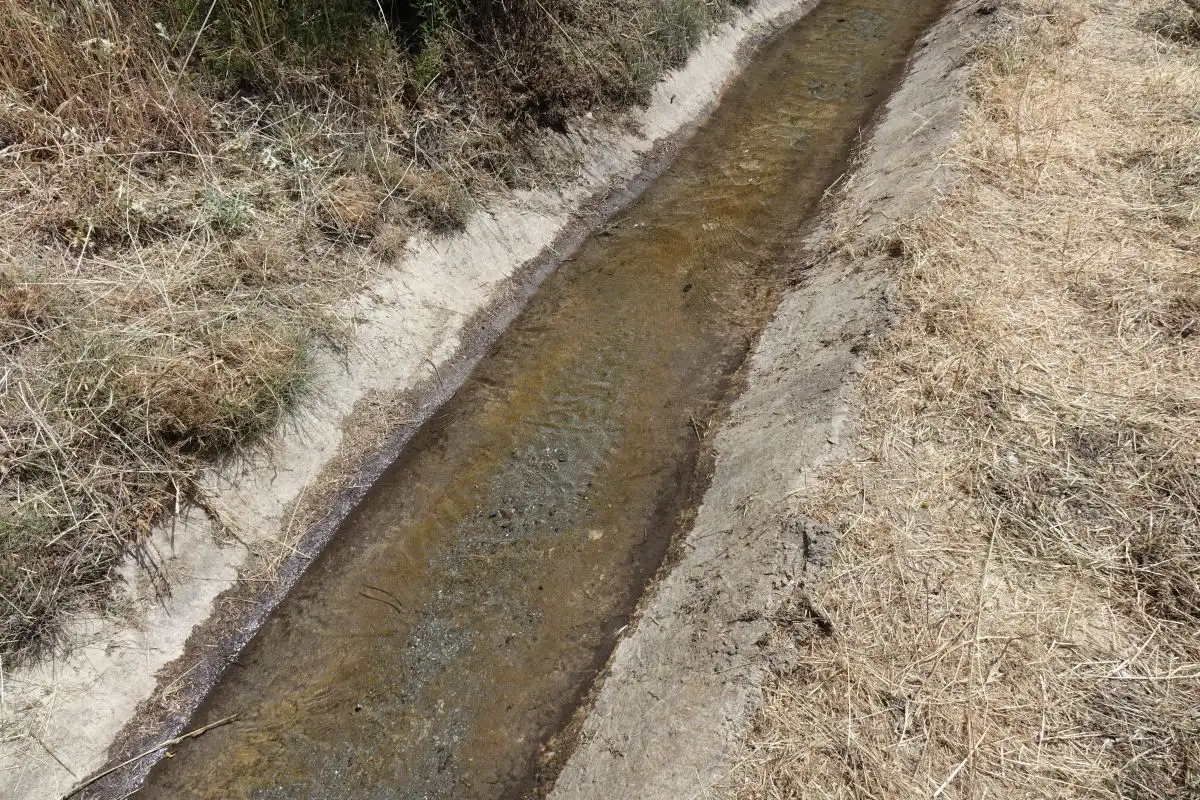 Vista exterior de Finca rústica en venda en Soportújar