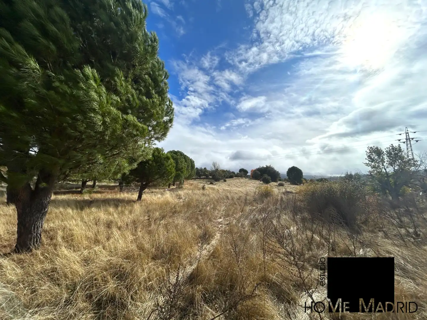 Rural land for sale in Camino de las Fontanillas, imagen 4