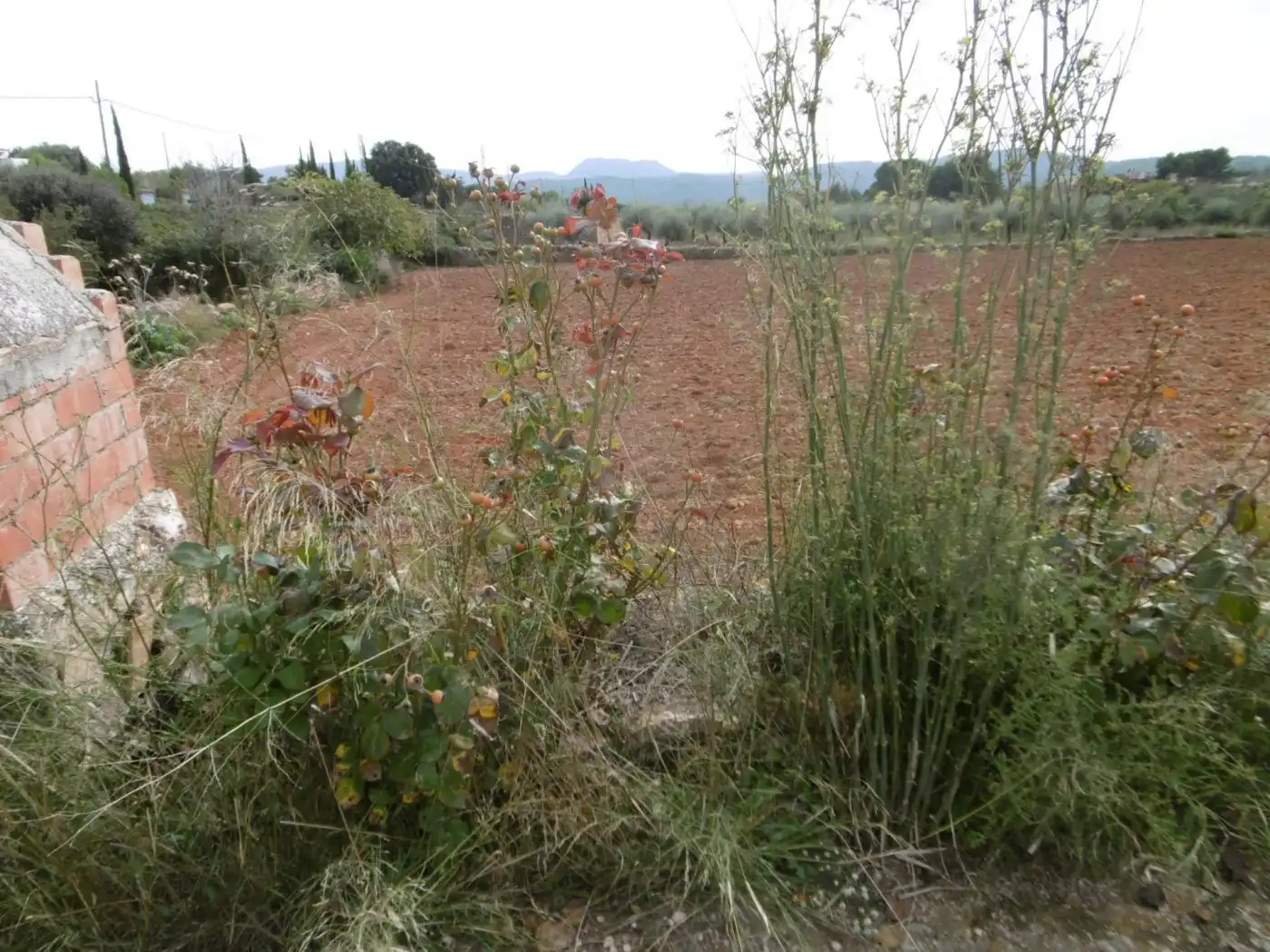 Finca rústica en venta en Useras /  Les Useres