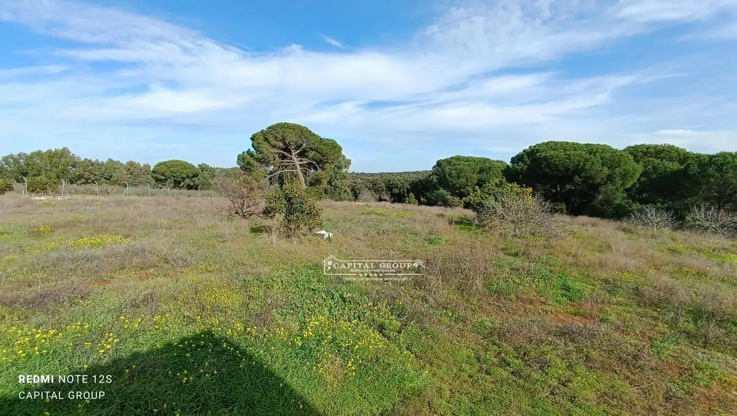 Terrenos y solares en venta en Gibraleón, imagen 31