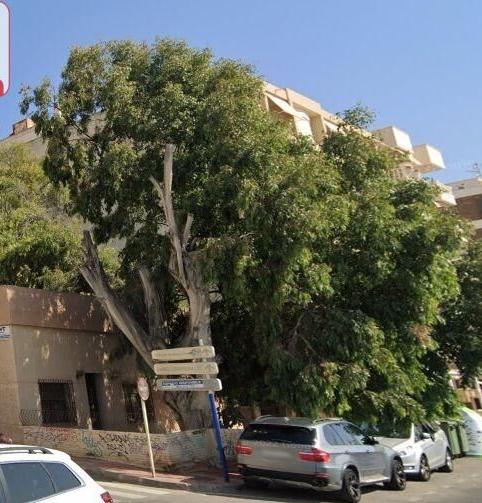 Foto 2 de Residencial en venda a Zona Playa de los Locos, Alicante