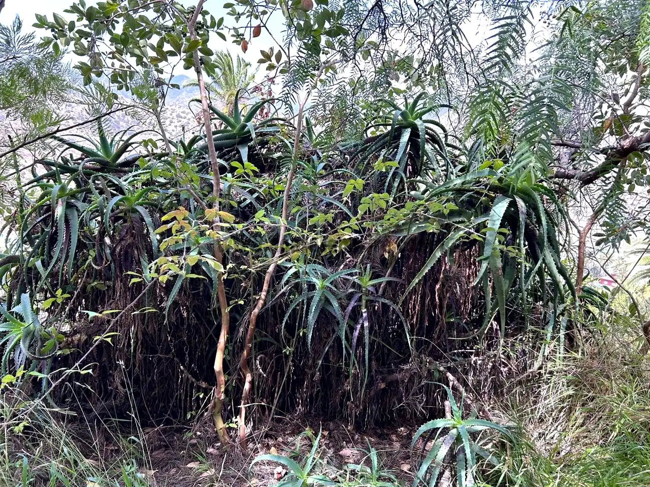 Finca rústica en venta en Vallehermoso con Aire acondicionado, Calefacción y Jardín privado