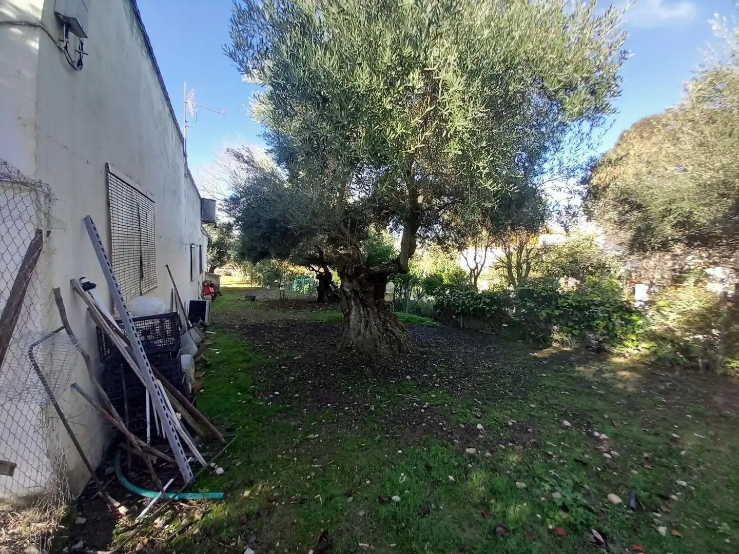 Finca rústica en venda a Partidas Norte