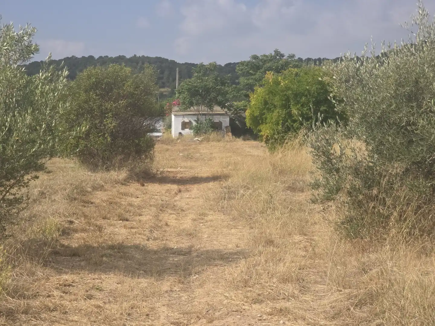 Rural land for sale in Vilamarxant, imagen 21