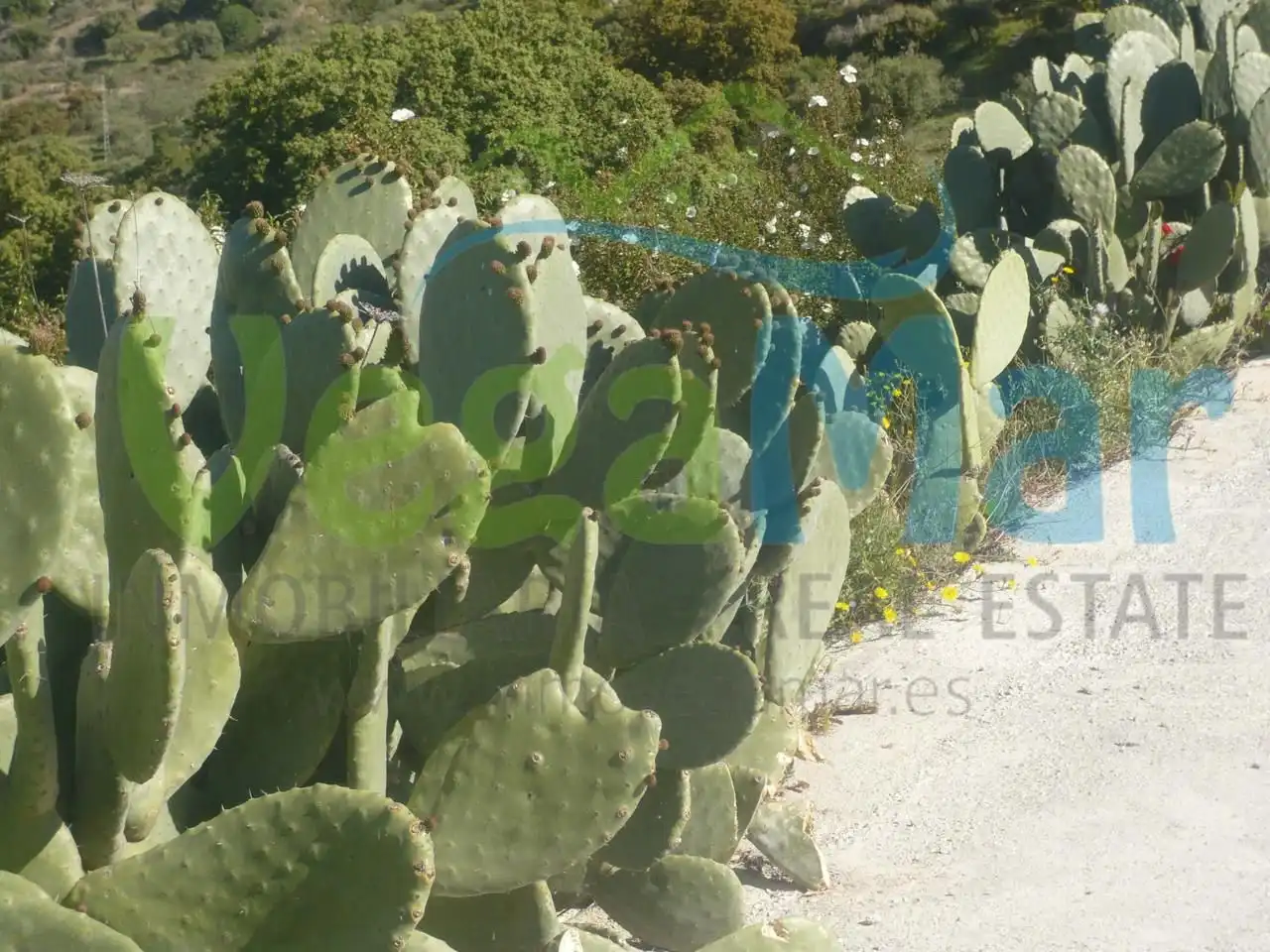 Jardín de Finca rústica en venta en Otívar