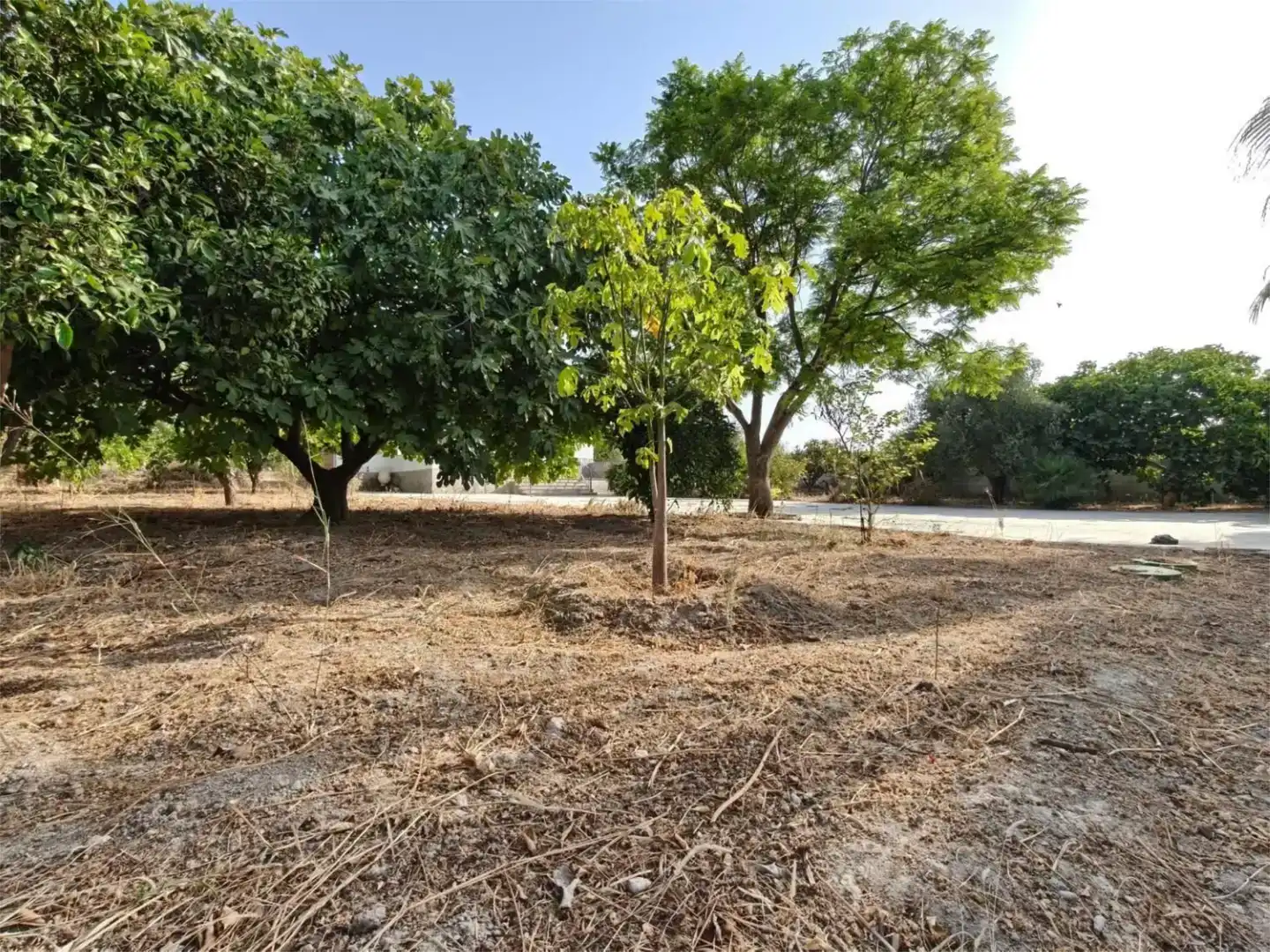 Piso en venta en Fernán-Núñez