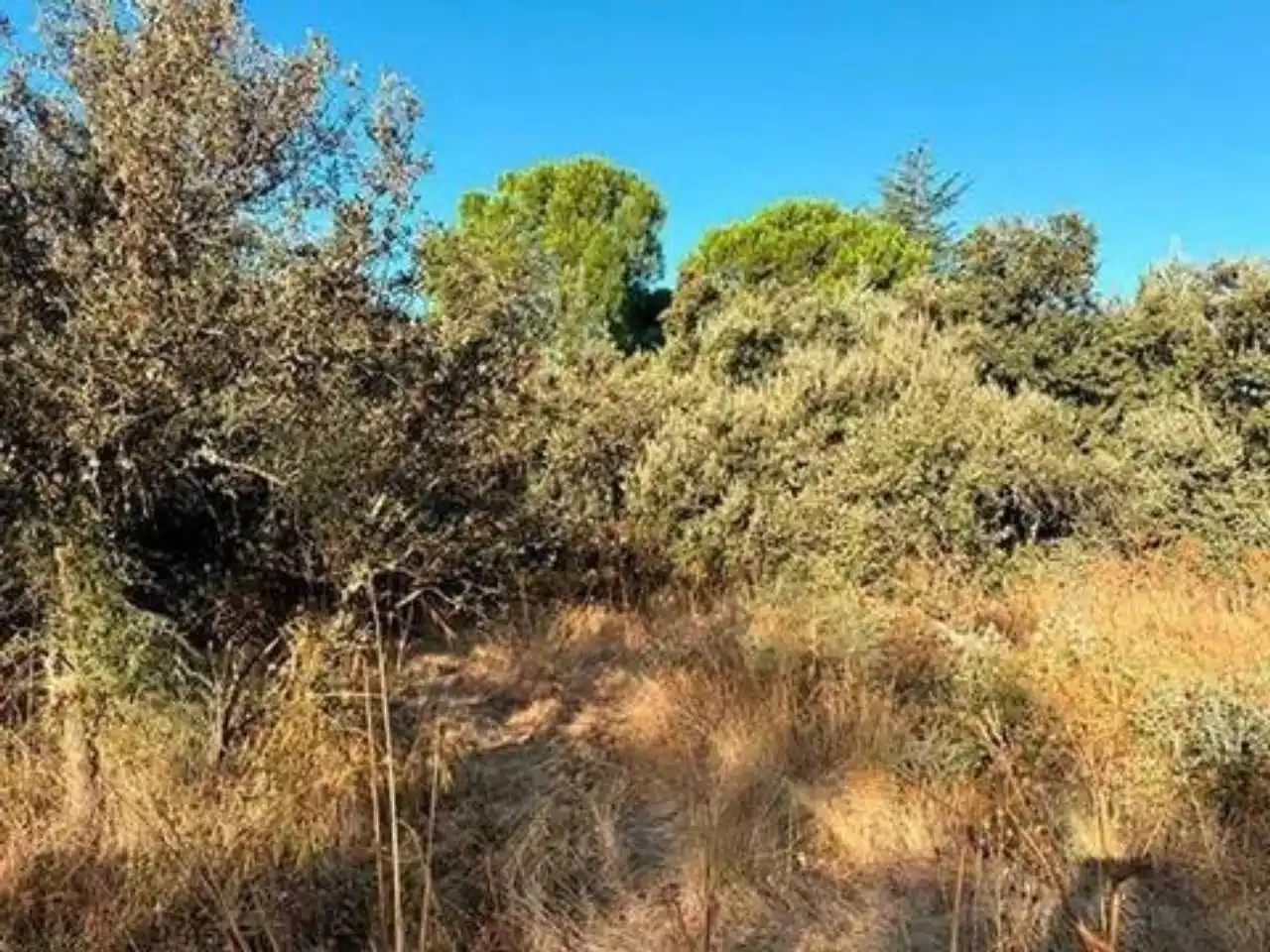 Terreno residencial en venta en Moncloa - Aravaca, imagen 13