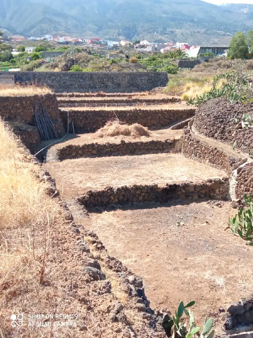 Jardí de Casa o xalet en venda en Arafo amb Jardí privat, Terrassa i Traster