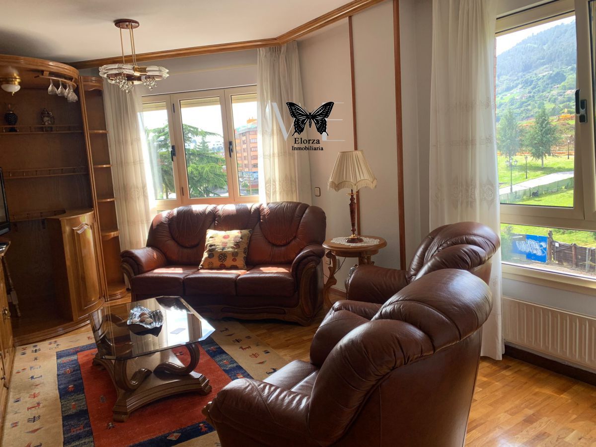 Sala d'estar de Pis de lloguer en Oviedo  amb Calefacció, Parquet i Moblat