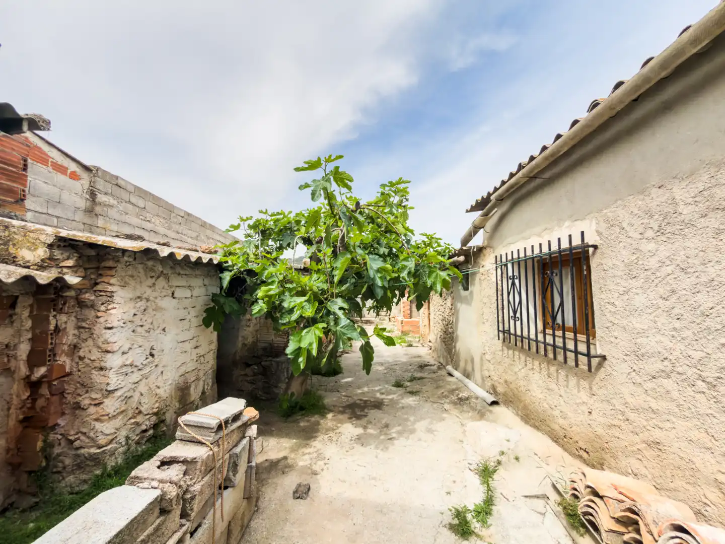 Vista exterior de Casa o xalet en venda en Cortes de Baza amb Jardí privat, Terrassa i Moblat