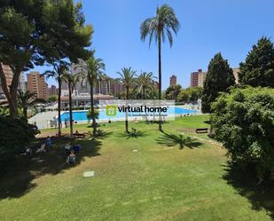 Garden of Flat to rent in Benidorm  with Terrace and Community pool