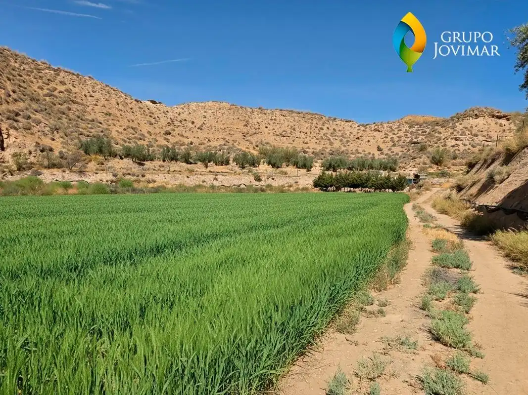 Terreno en venta en Gorafe