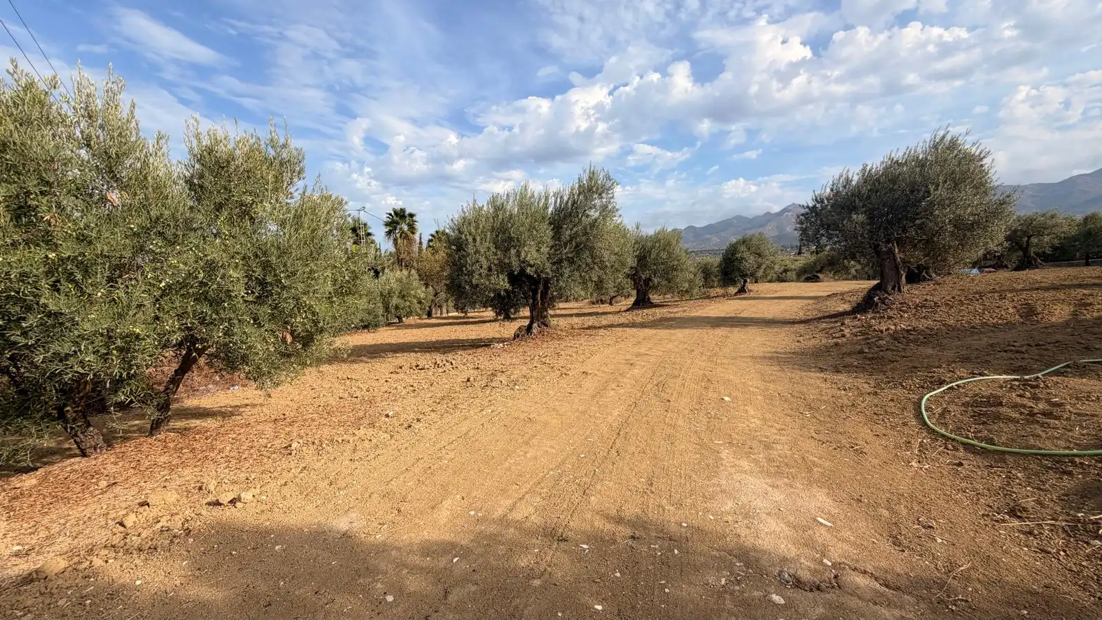 Rural land for sale in El Romeral - Peñón de Zapata, imagen 16